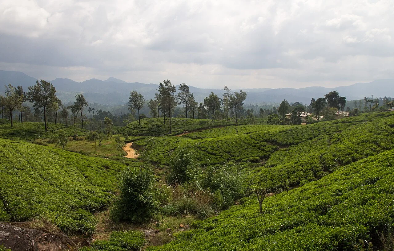 Nuwara Eliya, Sri Lanka